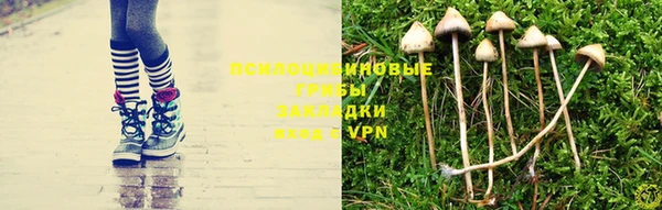 прущая мука Верея