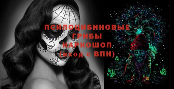 2c-b Верхний Тагил