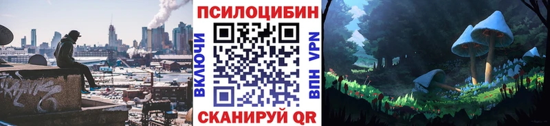 наркотики  Нерехта  Галлюциногенные грибы GOLDEN TEACHER 
